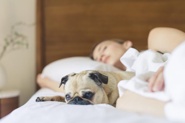 Treating Insomnia Naturopathically