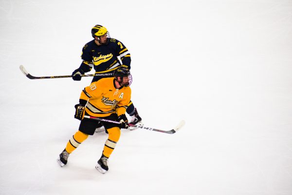 Common Hockey Injuries & Treatments