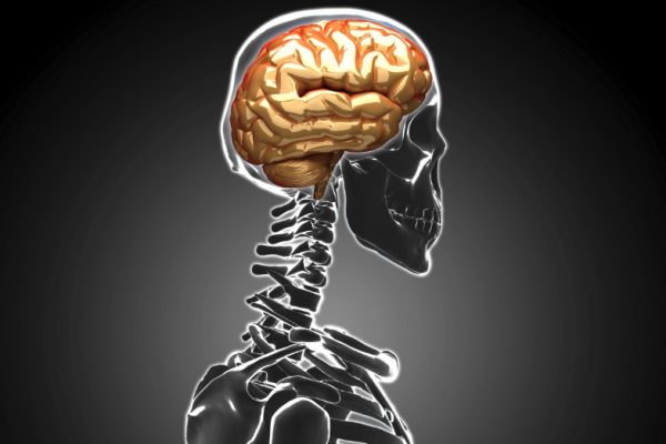 Could You Have a Predisposition to Getting a Concussion?