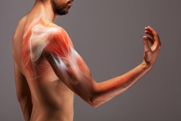What is Intramuscular Stimulation (IMS)