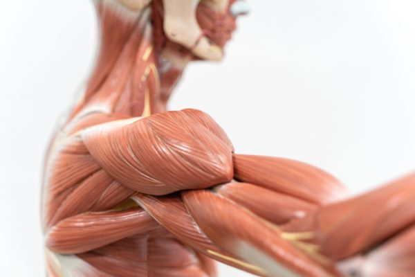 The Common Link in Soft Tissue Injuries