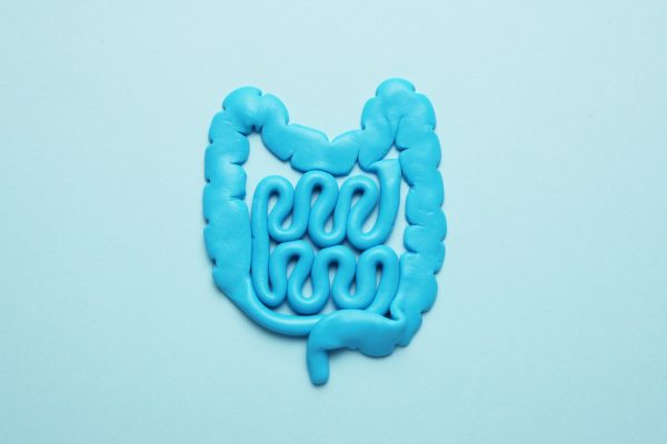 Tips for Supporting Your Immune System